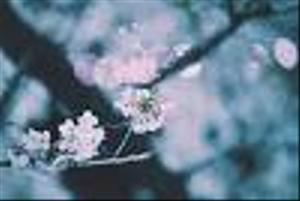 録