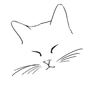 ニオデザイン