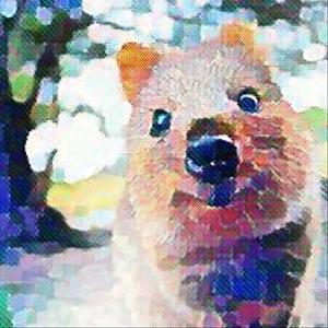 Quokkana