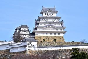 桐島　和大
