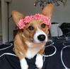 macy