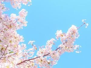 user_62