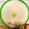 Tomato1234
