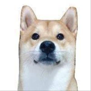 陳 柔安