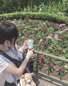 かとはる