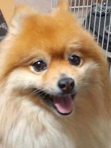 やまさ