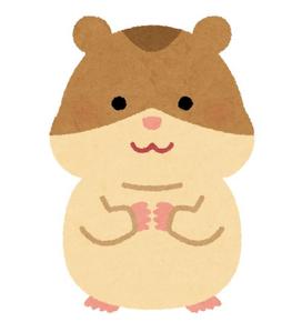 かねっち