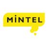 株式会社Mintel Japan
