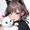 bicolor_cat