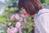yuria-n