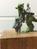 yokop