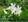 takeuchi_0104