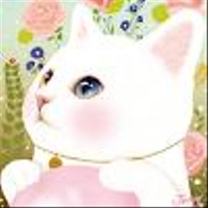 kim_15