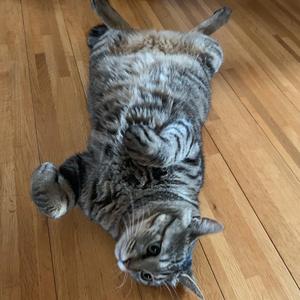 さおーぴー