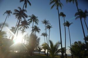 Beachie0005