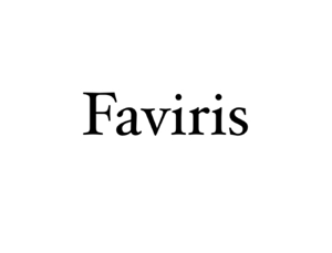 株式会社Faviris