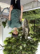 Daigo create