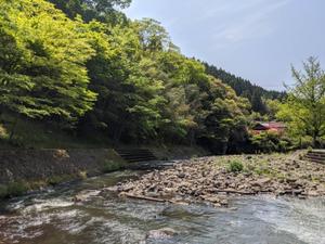 河野