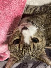 シバタタカヒロ