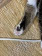 シバタタカヒロ