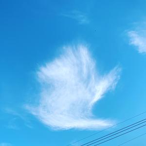 まどこみち