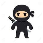 ninja_879