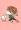 Mitsuya__