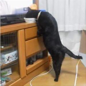 ミキ