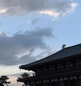うみまち