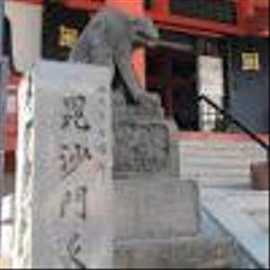 大井　敏雄