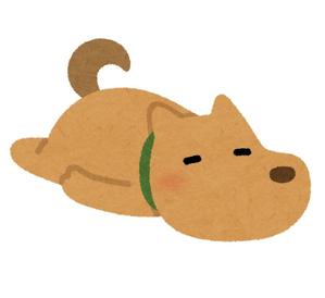 茂田　拓也