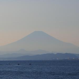 野口大志