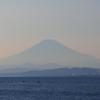 野口大志