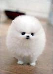 伊万里