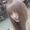 kitako_official
