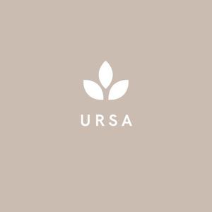 URSA SOLUTIONS AND TECHNOLOGY