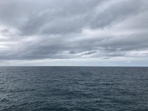 坂井　亮介