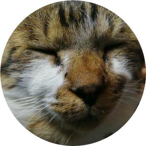 安部元二郎(あべげんじろう)