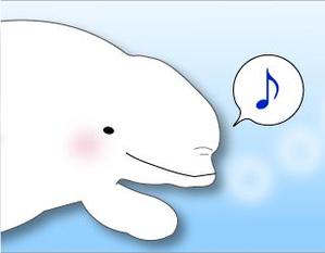 shiroirutan