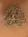 Amy_0903