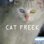 CAT FREEK