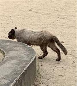 Rito@動画編集