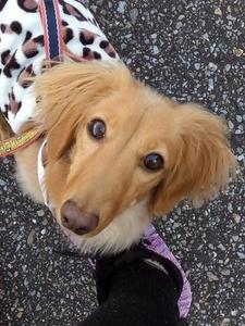 双子ママ