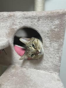 わいわい