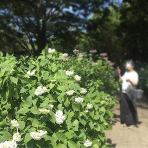 葉月　柚