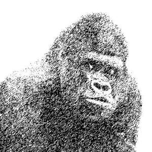 ハラデザイン