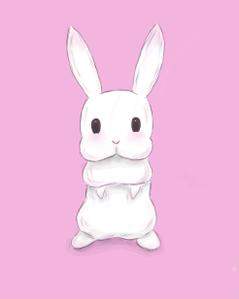 ふうか