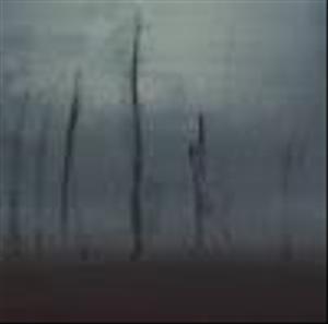 Shibata Kent