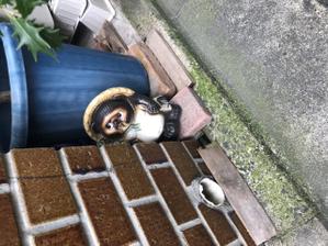 みなみ