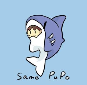 samepupo